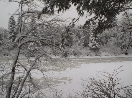 DSCF1329.JPG, janv. 2021