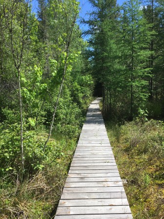 IMG_3727.jpg, juin 2021