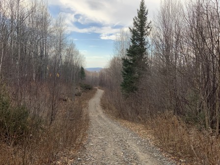 IMG_7010.jpg, janv. 2021