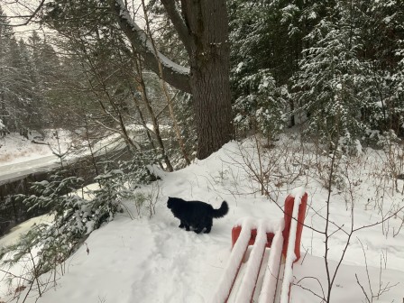 IMG_7257.jpg, mar. 2021