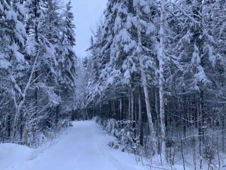 IMG_7969.jpg, fév. 2021