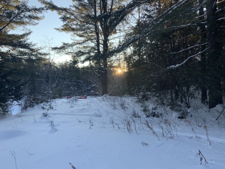 IMG_8218.jpg, fév. 2021